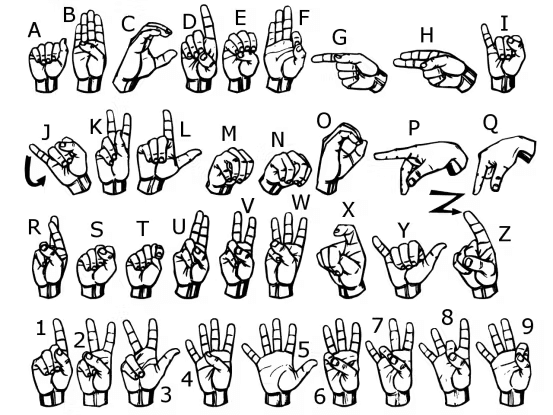 Sign Language to Text & Speech